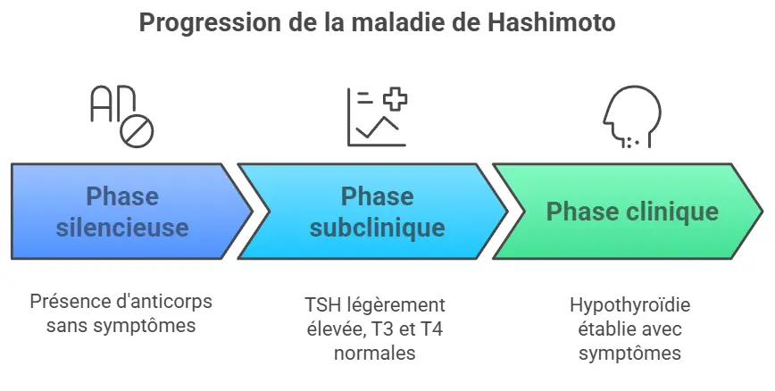 Maladie de Hashimoto 1 Hashimoto progression