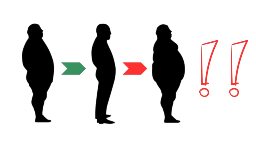 L'absurdité des régimes hypocaloriques 1 Effet yoyo