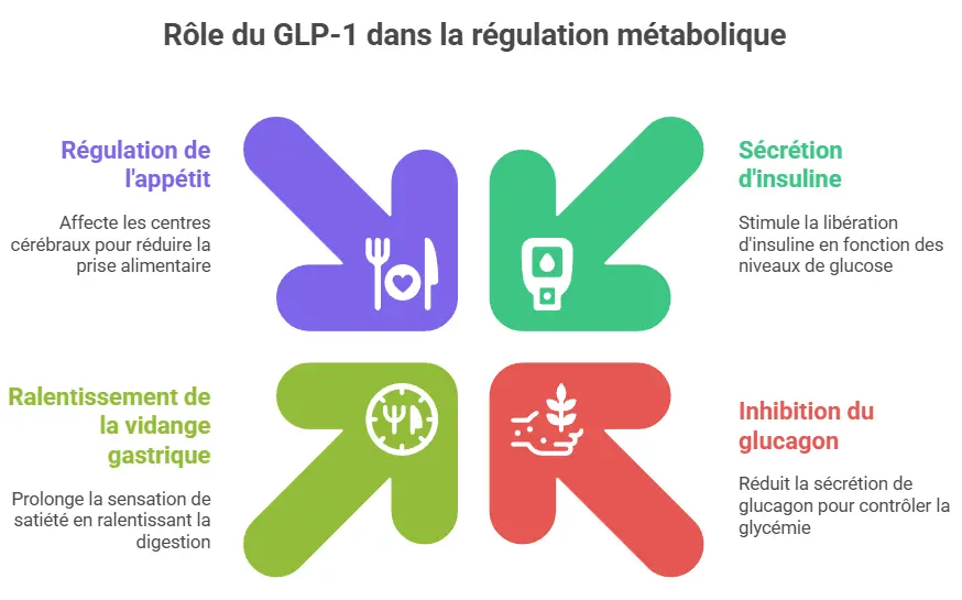 GPL 1