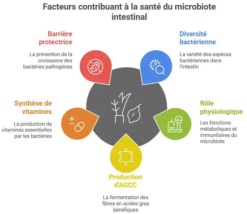 Le rôle du microbiote intestinal dans la prise de poids et l’inflammation 1 Microbiote intestinal1